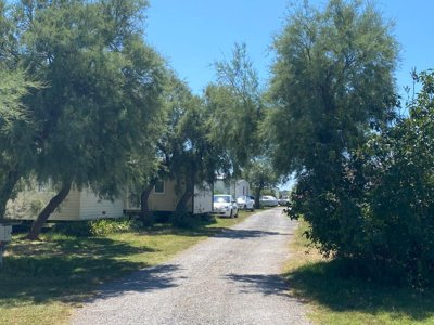 Cliquez pour découvrir toutes les photos de l'ÉTABLISSEMENT ! camping De L'Arnel photo 23