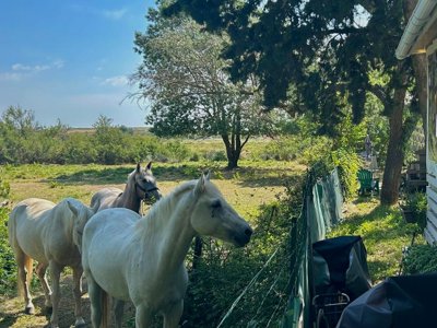 Cliquez pour découvrir toutes les photos de l'ÉTABLISSEMENT ! camping De L'Arnel photo 26