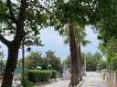 Cliquez pour découvrir toutes les photos de l'ÉTABLISSEMENT ! camping De L'Arnel photo 11