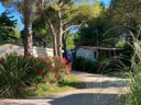 Cliquez pour découvrir toutes les photos de l'ÉTABLISSEMENT ! camping De L'Arnel photo 8