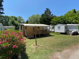 Camping Pas Cher vous présente avec son site Officiel campingpascher.fr, le Camping De L'Arnel classé 2 étoiles, situé sur la commune de Villeneuve Les Maguelonne dans le département Hérault (Languedoc Roussillon) en France. Le camping De L'Arnel, vous présente un hébergement de type mobil-home de 32 m² avec climatisation. Le camping De L'Arnel vous propose du mercredi 01 avril au mercredi 08 avril 2026 pour 7 nuits à 495€. Cette location propose 111 dates différentes pour réserver votre séjour. Découvrez également les 13 autres gammes d'hébergements du camping. Les Avis clients pour le Camping De L'Arnel sont excellents avec une note moyenne de 9 sur 10. MerÉtang, Bassin enfant, Piscine extérieure, Animations familiales, Cyclisme, Pétanque, Salle de jeux vidéo, Trampoline, Boulangerie, Bureau de tabac, Restaurant, Station-service, Supermarché,... En savoir plus : cliquez-ICI.