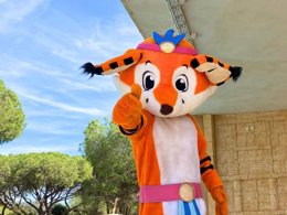 Camping Pas Cher vous présente avec son site Officiel campingpascher.fr, le Camping Tikayan Les Cigales classé 5 étoiles, situé sur la commune de Le Muy dans le département Var (Provence Alpes Côte D'azur) en France. Le camping Tikayan Les Cigales, vous présente un hébergement de type mobil-home de 28 m² pour 4 personnes avec climatisation et télévision. Le camping Tikayan Les Cigales vous proposeun séjour PAS CHER avec une REMISEdu sam. 27 juin au sam. 04 juillet 2026, en promotion à -60% pour 7 nuits à 492,80 € au lieu de 1232,0 € soit une Économie de 739,20 €. Cette location propose 89 dates différentes pour réserver votre séjour. Découvrez également les 25 autres gammes d'hébergements du camping. Les Avis clients pour le Camping Tikayan Les Cigales sont de 7 sur 10. Mer, Parc aquatique, Piscine extérieure, Animations familiales, Club ados, Club enfants, Aire de jeux enfants, Canoë-kayak, Court de tennis, Ping-pong, Plongée, Pétanque, Randonnée, Salle de jeux vidéo, Ski nautique, Terrain de volley-ball, Terrain multisports, Voile, Bar, Dépôt de pain, Plats à emporter, Restaurant, Snack/Bar, Supermarché,... En savoir plus : cliquez-ICI.