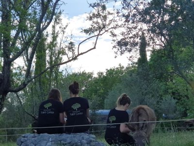 camping Domaine Saint Cerice photo 24