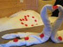 hébergement insolite - camping Domaine Saint Cerice photo 7