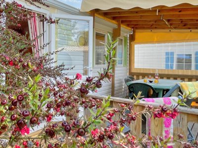Cliquez pour découvrir toutes les photos de l'HÉBERGEMENT ! mobil-home - Le Welcome photo 2