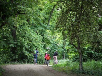 Cliquez pour découvrir toutes les photos de l'ÉTABLISSEMENT ! camping Du Lion D'Angers photo 10