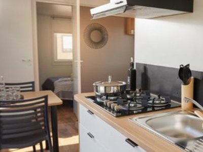 Cliquez pour découvrir toutes les photos de l'HÉBERGEMENT ! mobil-home - Du Lion D'Angers photo 2