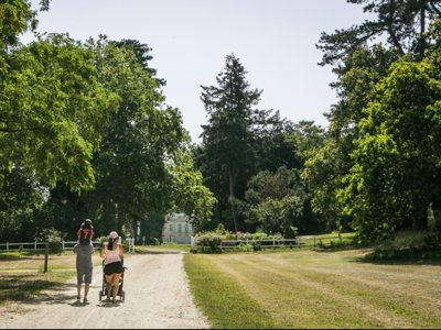 Cliquez pour découvrir toutes les photos de l'ÉTABLISSEMENT ! camping Du Lion D'Angers photo 2