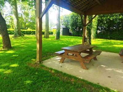 Cliquez pour découvrir toutes les photos de l'ÉTABLISSEMENT ! camping Du Lion D'Angers photo 23