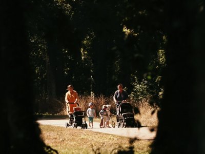 Cliquez pour découvrir toutes les photos de l'ÉTABLISSEMENT ! camping Du Lion D'Angers photo 6
