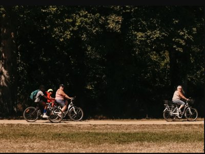 Cliquez pour découvrir toutes les photos de l'ÉTABLISSEMENT ! camping Du Lion D'Angers photo 7