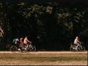 Cliquez pour découvrir toutes les photos de l'ÉTABLISSEMENT ! camping Du Lion D'Angers photo 7