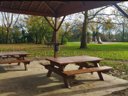 Cliquez pour découvrir toutes les photos de l'ÉTABLISSEMENT ! camping Du Lion D'Angers photo 8