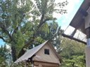 Cliquez pour découvrir toutes les photos de l'HÉBERGEMENT ! hébergement insolite - camping Dordogne Les Cinq Châteaux photo 4