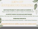 mobil-home - camping La Roucateille photo 6