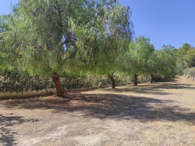 camping Villaggio La Collinetta photo 17