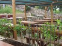 camping Villaggio La Collinetta photo 8