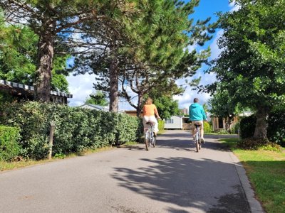 Cliquez pour découvrir toutes les photos de l'ÉTABLISSEMENT ! camping La Foret Stella Plage photo 20