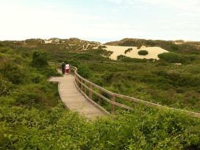 Cliquez pour découvrir toutes les photos de l'ÉTABLISSEMENT ! camping La Foret Stella Plage photo 25