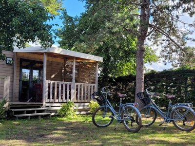 Cliquez pour découvrir toutes les photos de l'ÉTABLISSEMENT ! camping La Foret Stella Plage photo 6