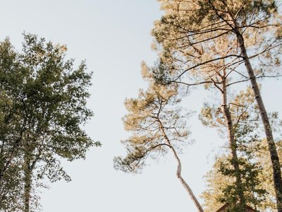 Cliquez pour découvrir toutes les photos de l'ÉTABLISSEMENT ! camping Domaine Saint Amand photo 15