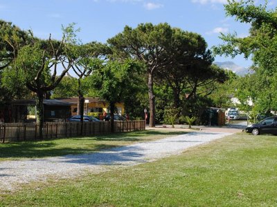 Cliquez pour découvrir toutes les photos de l'ÉTABLISSEMENT ! camping Dal Pino photo 2