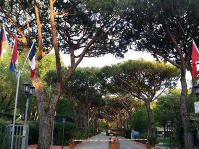Cliquez pour découvrir toutes les photos de l'ÉTABLISSEMENT ! camping Dal Pino photo 8