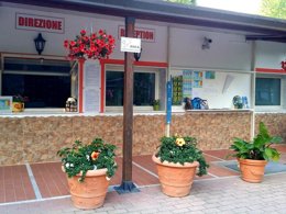 Camping Pas Cher vous présente avec son site Officiel campingpascher.fr, le Camping Dal Pino, situé sur la commune de Marina Di Massa dans le département Massa-carrara (Toscane) en Italie. Le camping Dal Pino, vous présente un hébergement de type bungalow et télévision. Le camping Dal Pino vous propose du sam. 05 septembre au sam. 12 septembre 2026 pour 7 nuits à 520€. Cette location propose 32 dates différentes pour réserver votre séjour. Découvrez également les 3 autres gammes d'hébergements du camping. Mer, Aire de jeux enfants, Snack/Bar,... En savoir plus : cliquez-ICI.