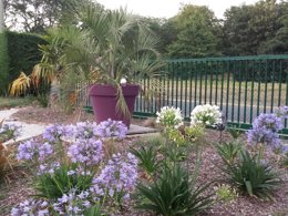 Camping Pas Cher vous présente avec son site Officiel campingpascher.fr, le Camping Flower Des Vallées classé 3 étoiles, situé sur la commune de Saint Brieuc dans le département Côtes-d'armor (Bretagne) en France. Le camping Flower Des Vallées, vous présente un hébergement de type tente de 37 m² pour 2 personnes. Le camping Flower Des Vallées vous propose du mardi 07 avril au mardi 14 avril 2026 pour 7 nuits à 322€. Cette location propose 89 dates différentes pour réserver votre séjour. Découvrez également les 15 autres gammes d'hébergements du camping. Les Avis clients pour le Camping Flower Des Vallées sont excellents avec une note moyenne de 10 sur 10. Piscine chauffée, Piscine couverte, Animations familiales, Club enfants, Aire de jeux enfants, Baby-foot, Ping-pong, Terrain multisports, Bar, Dépôt de pain, Plats à emporter, Épicerie,... En savoir plus : cliquez-ICI.