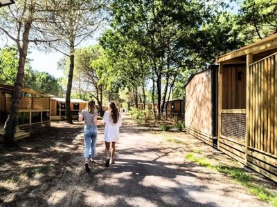 camping Les Couleurs De La Coubre photo 16